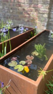 Create your own water feature…the process…
.
.
.
#waterfeature #pond #planterpond #diypond