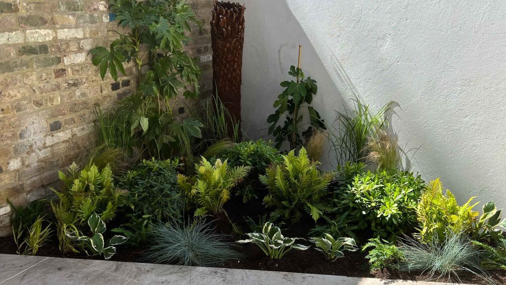 Lots of plants at a project in Notting Hill for a small garden flat.