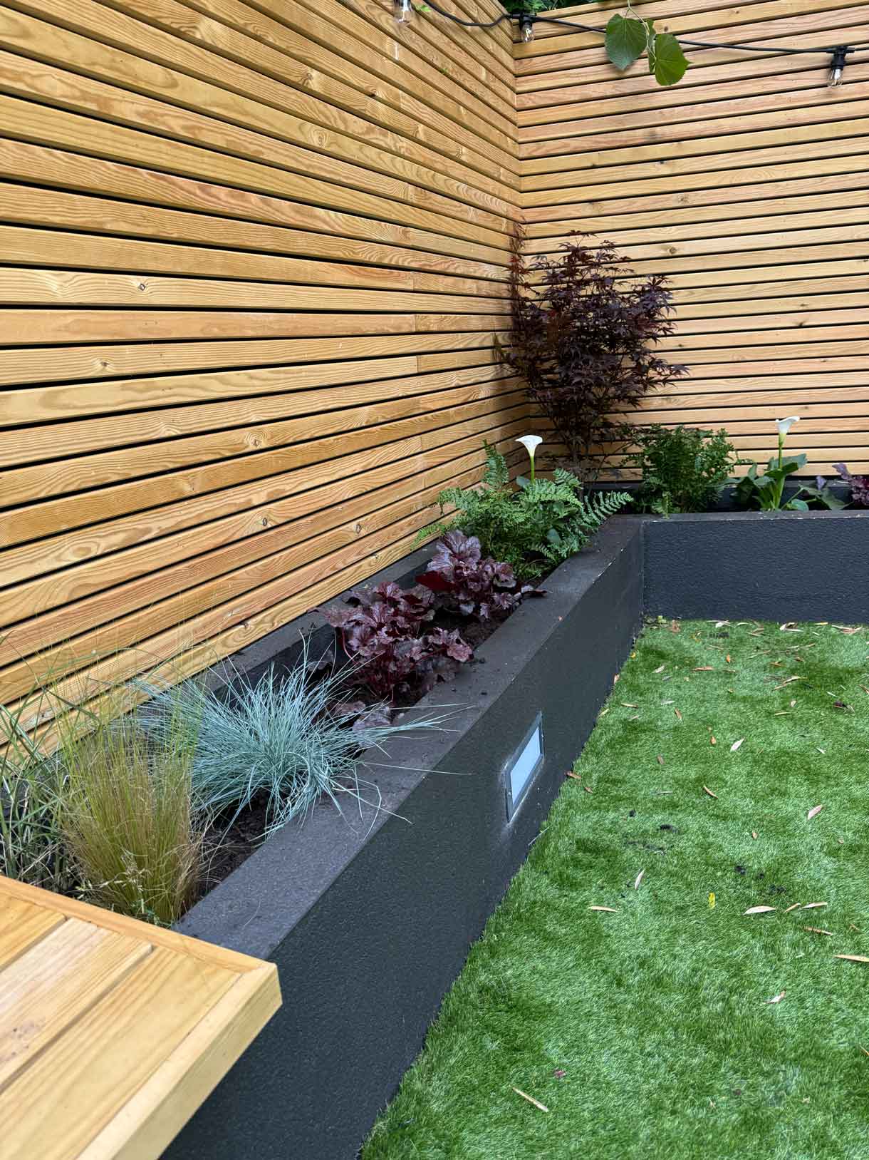 Large decorative planters with tall plants and trees on paved area.