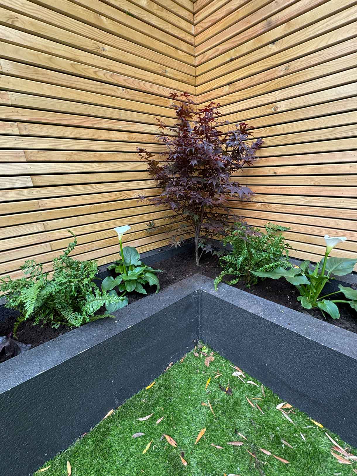 Restored planters with fresh planting against timber cladding.