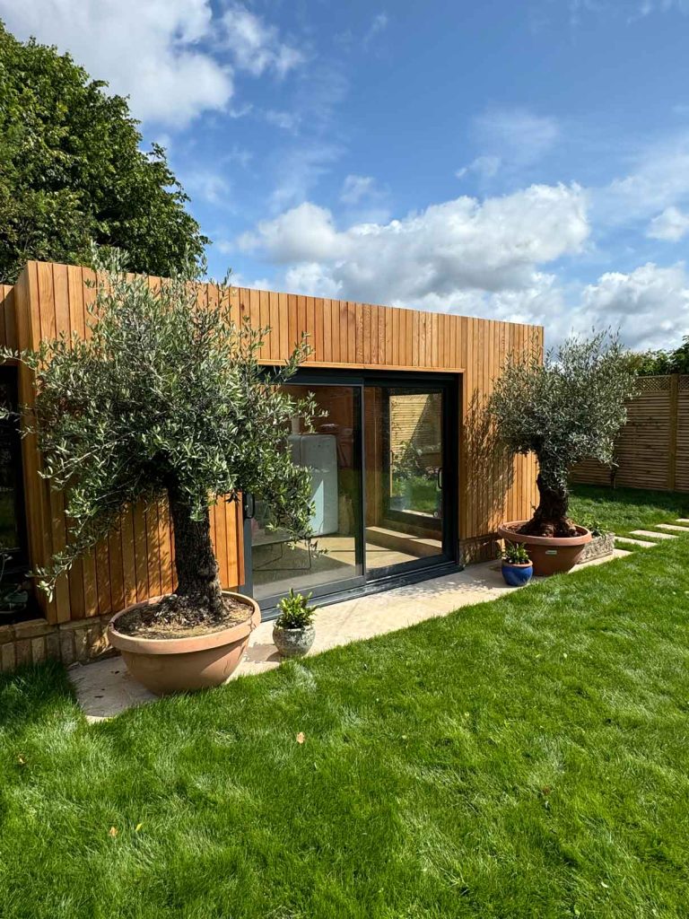 Olive tree in terracotta pot beside wooden garden room on a sunny day.