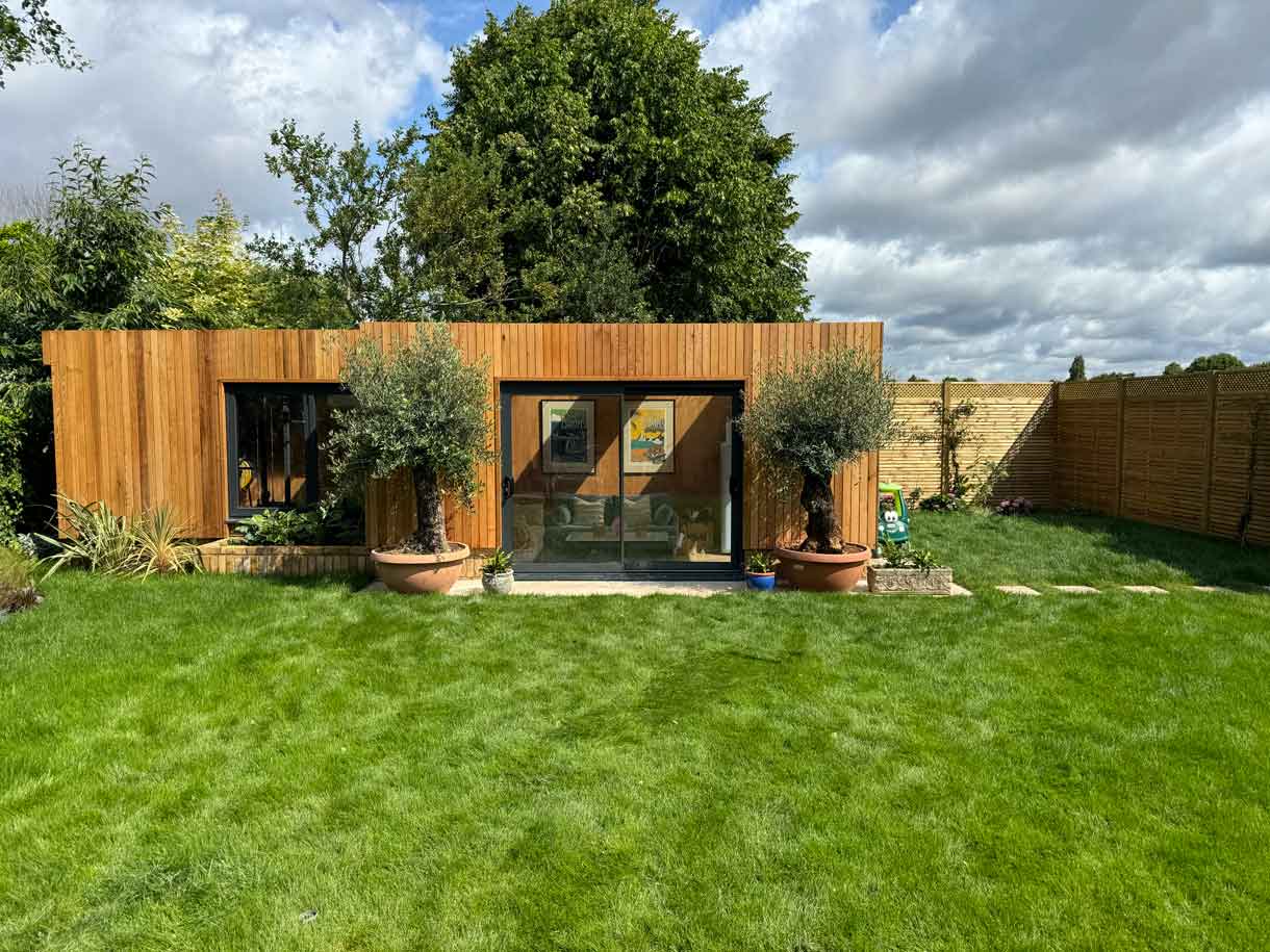 Wide view of garden room with olive trees in pots and new turf.