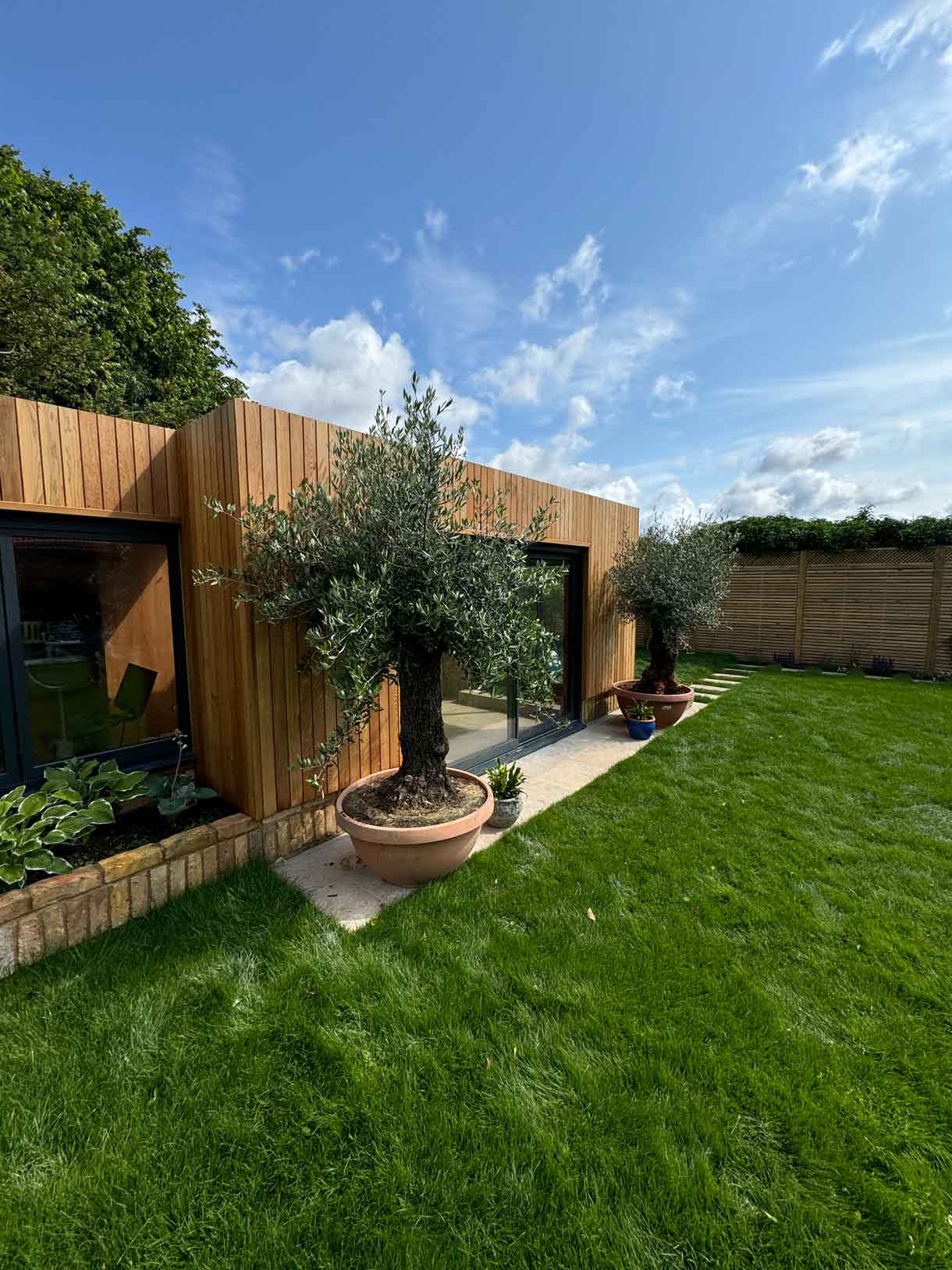Side view of contemporary garden room with wooden cladding and planting along the edge.