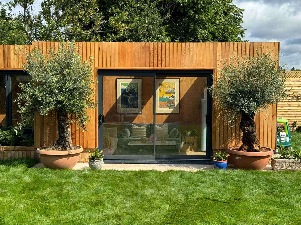Modern garden room with wooden cladding and two olive trees in pots, set on a fresh lawn.