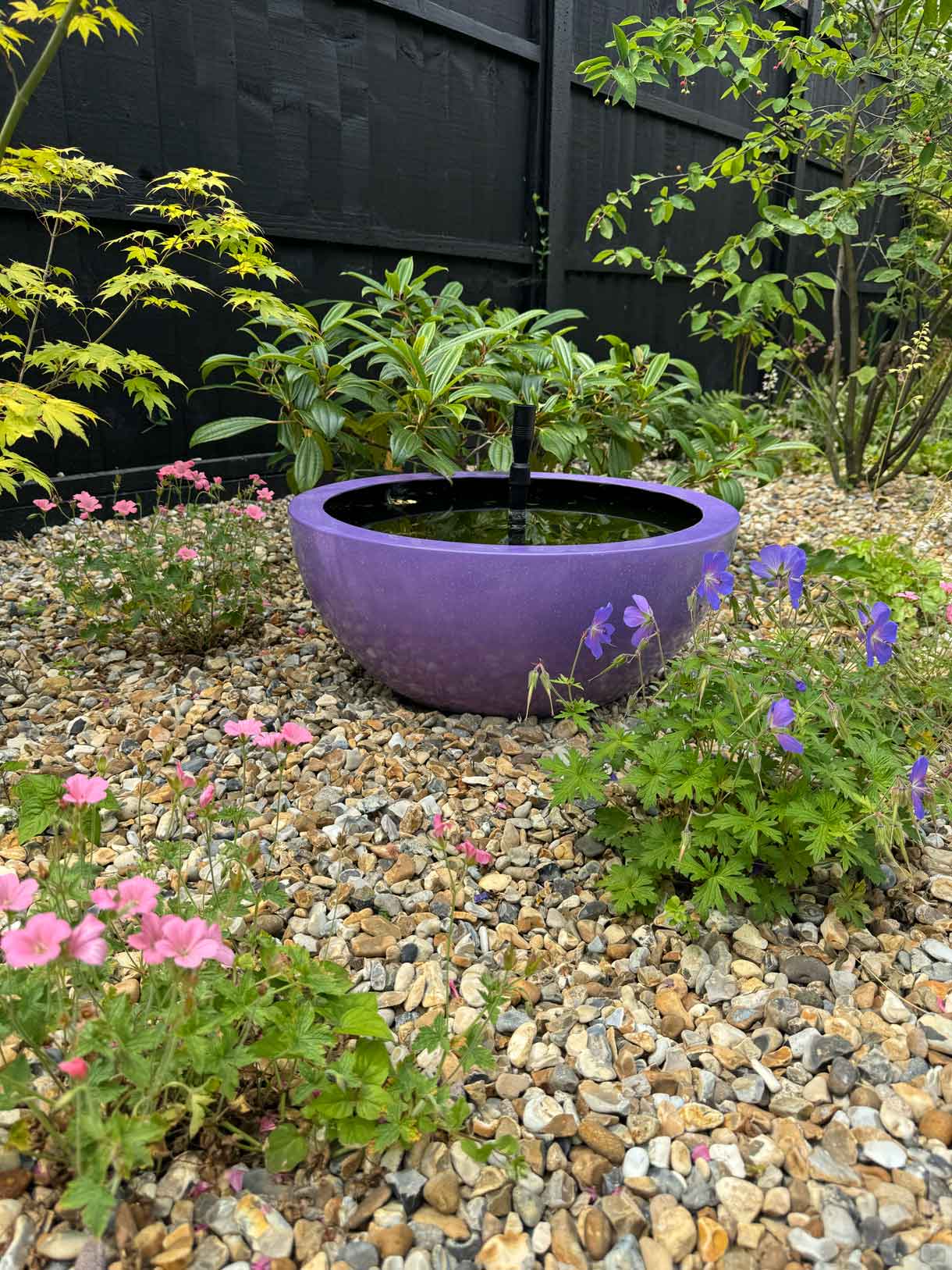Purple planter in gravel garden with flowers.