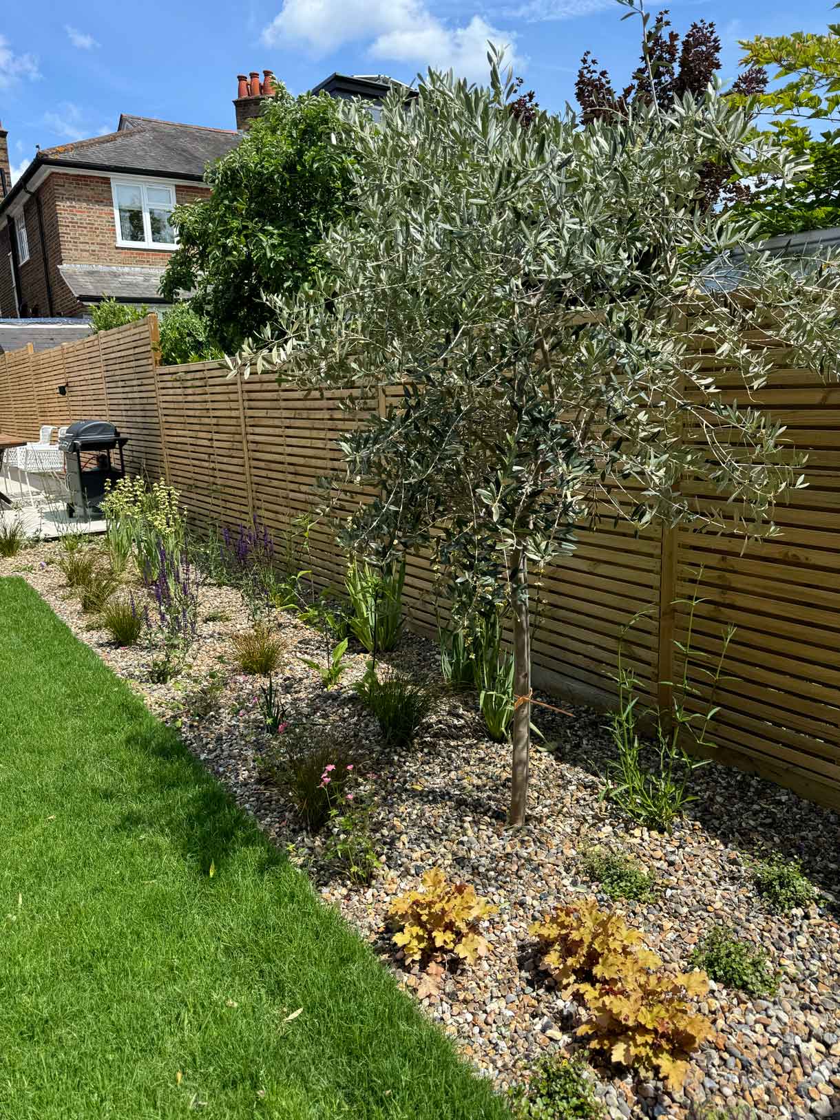 Planting bed with timber fence and lawn in redesigned garden.