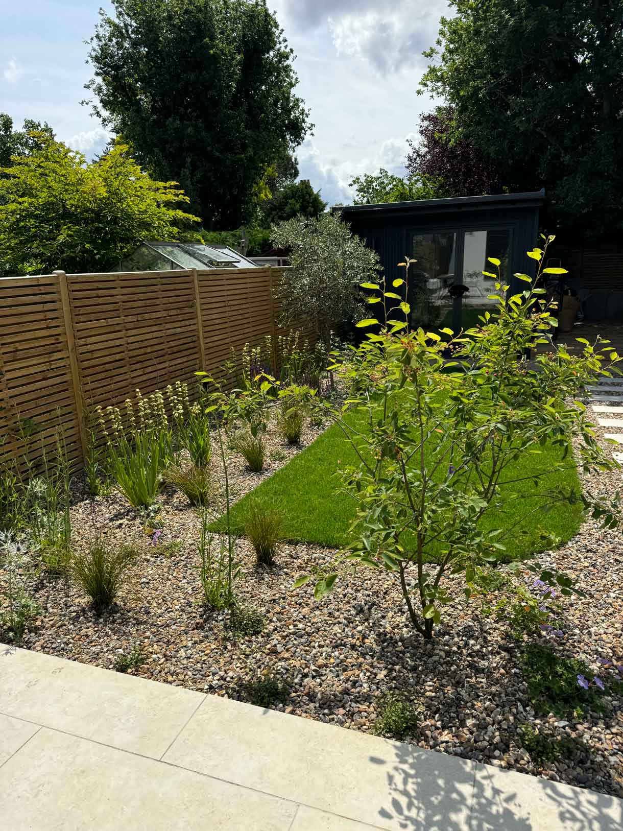Planting borders along timber fence in redesigned garden.
