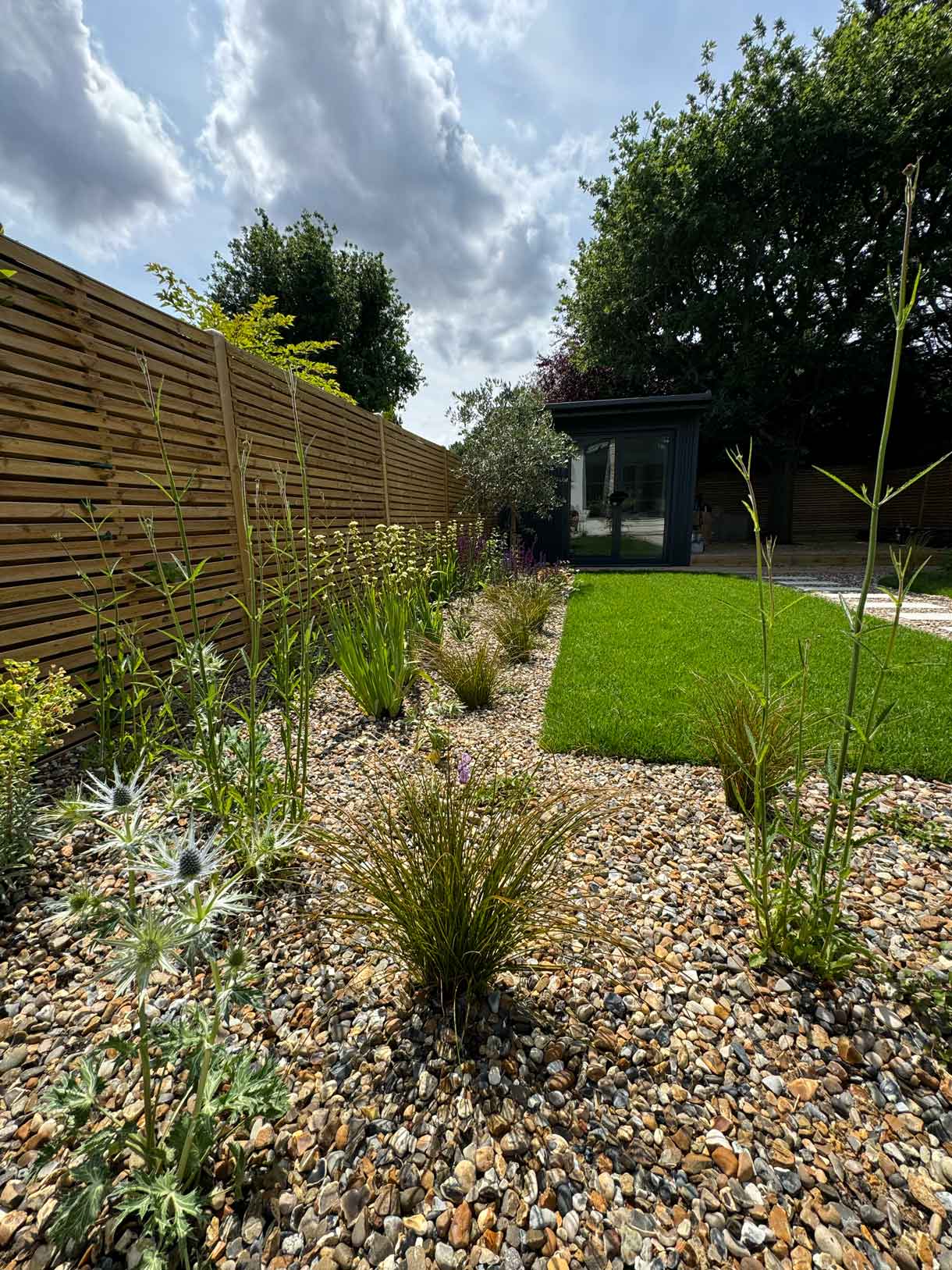 Planting bed with grasses and shrubs beside gravel path.