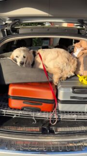 A very special week in the Alps for the real bosses 40th birthday!
.
.
.
#alpedhuez