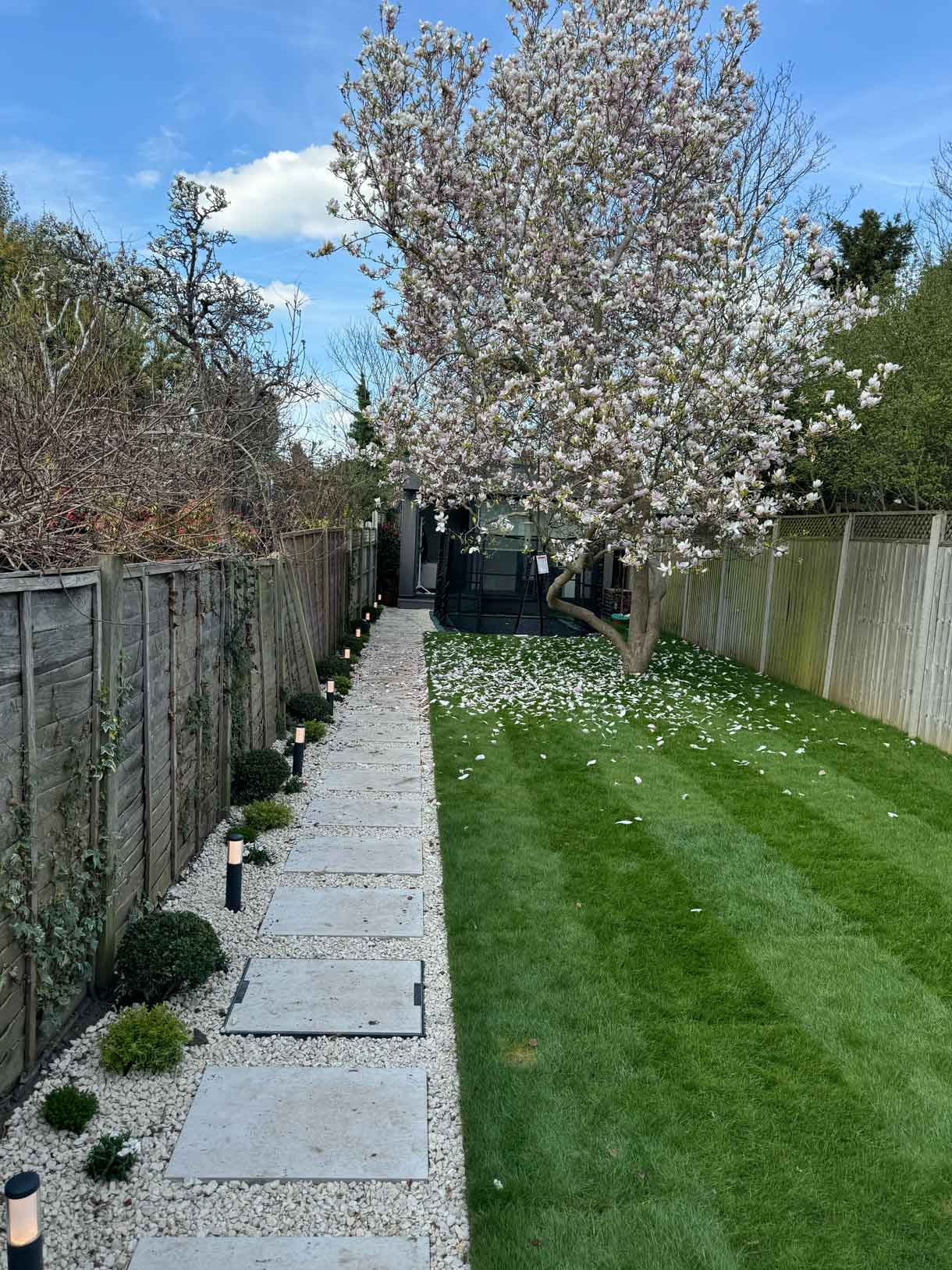 Long garden with stepping-stone path leading to the rear garden room beneath a flowering magnolia tree.