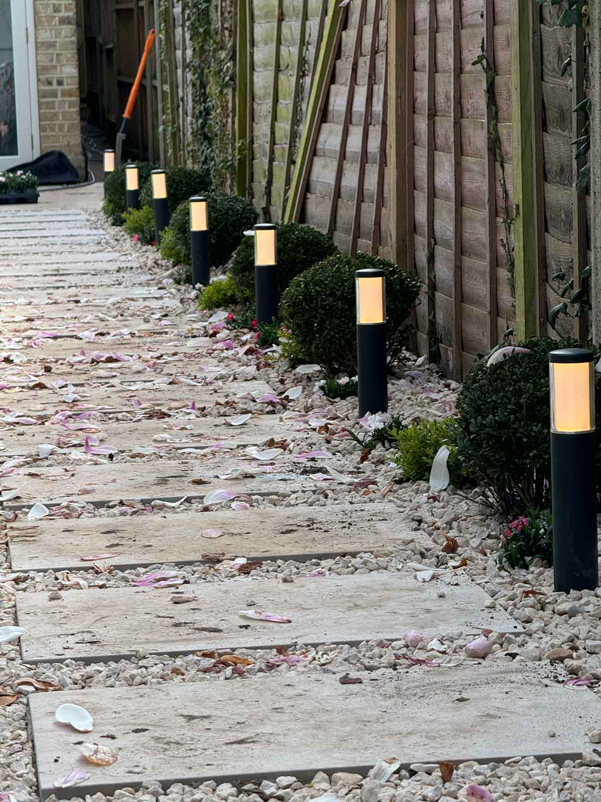 Gravel path with bollard lights leading to the magnolia tree and garden room.