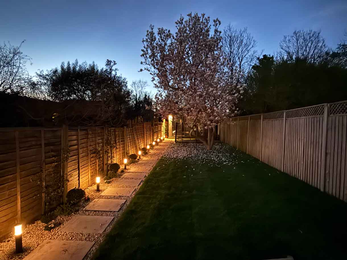 Evening view of illuminated side path with warm garden lighting and magnolia tree.