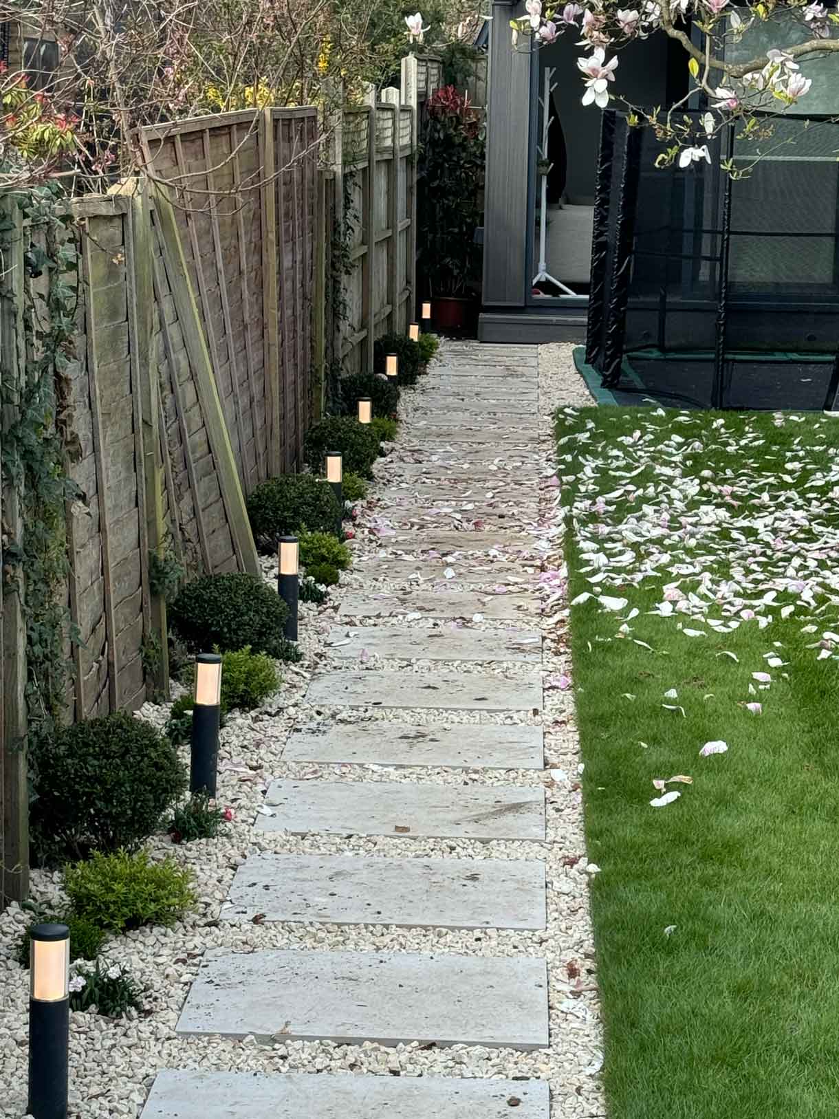 Side garden path framed by gravel, young shrubs and timber fencing.