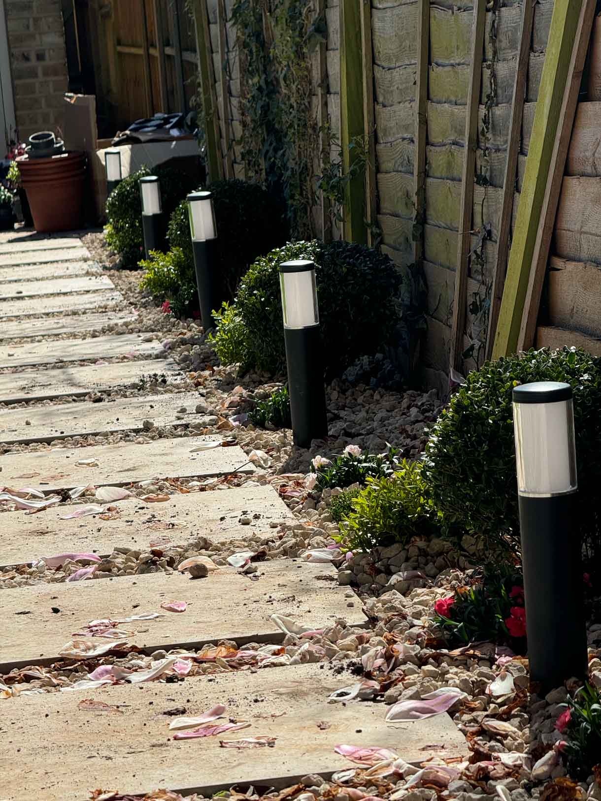 Stepping-stone path covered in fallen magnolia petals beside garden planting.