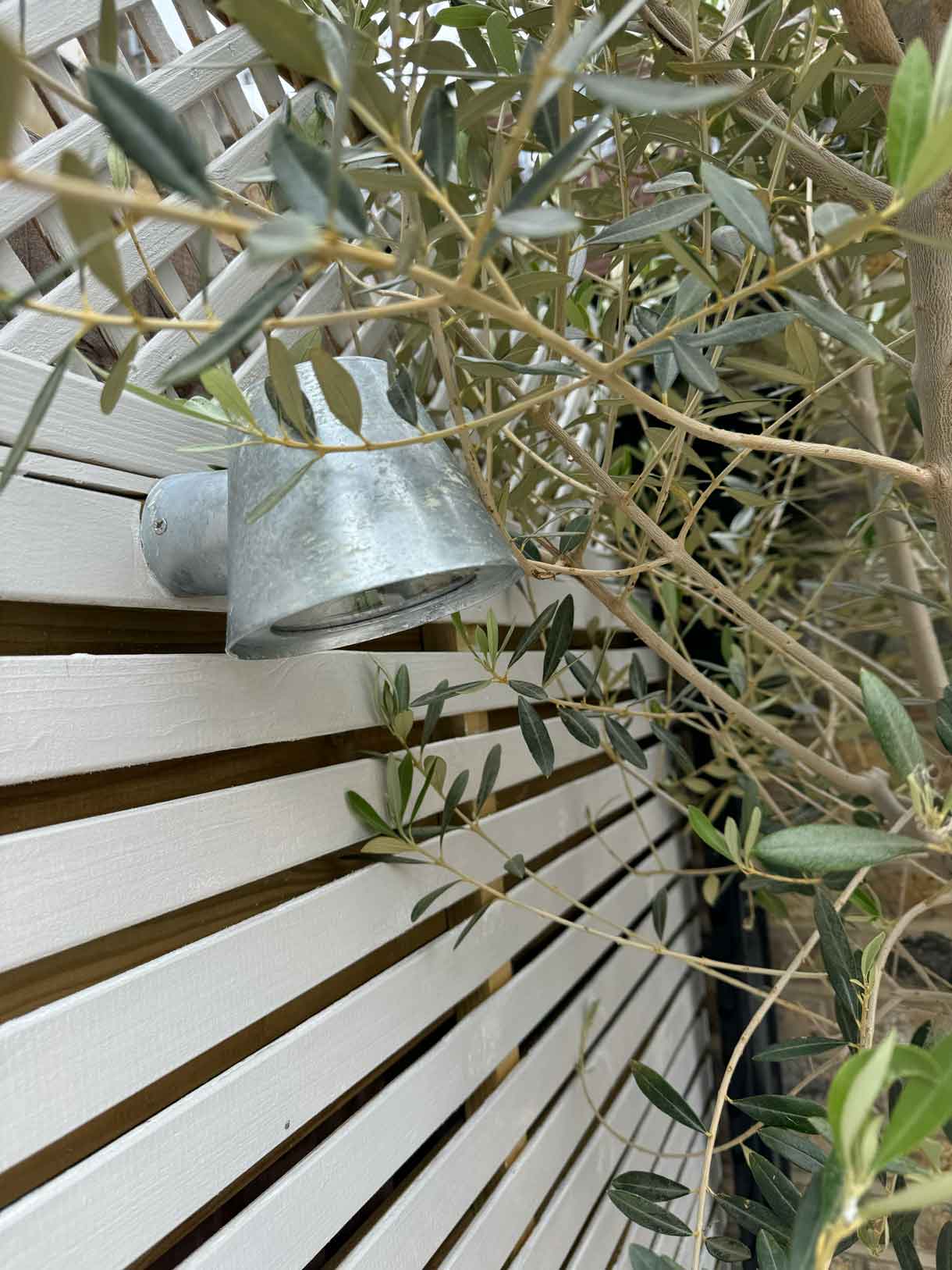 Close-up of silver garden wall light mounted on slatted timber fencing beside an olive tree.
