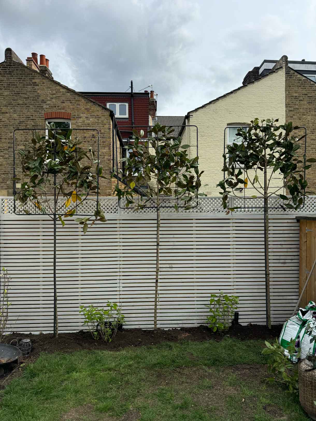 Rear garden with white slatted fence and newly planted shrubs.