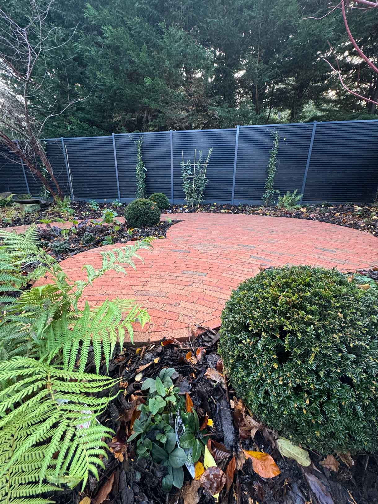 Curved brick path leading towards evergreen shrubs and a dark slatted boundary fence.