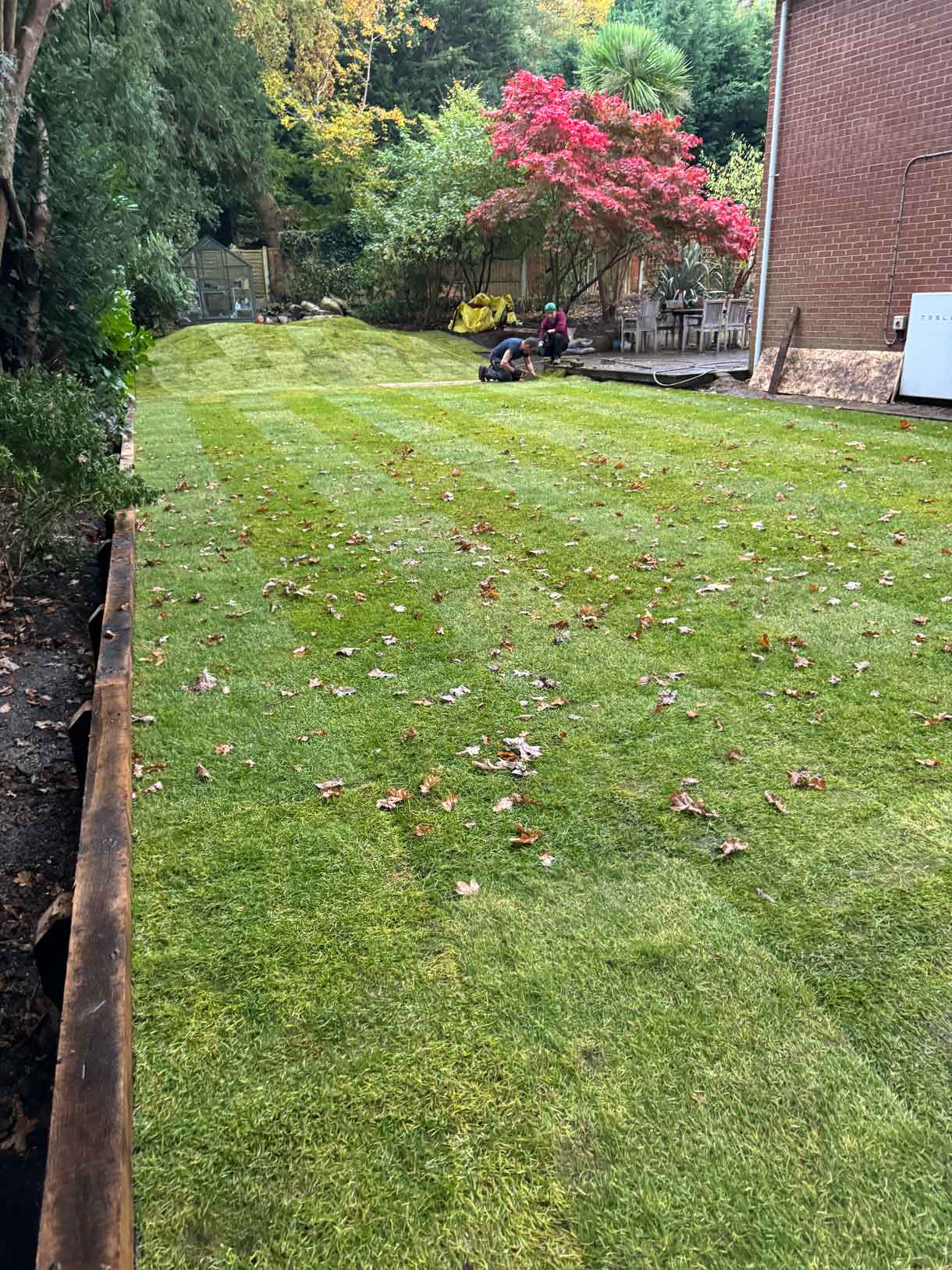 Freshly cut lawn running alongside a planted border and curved garden path.