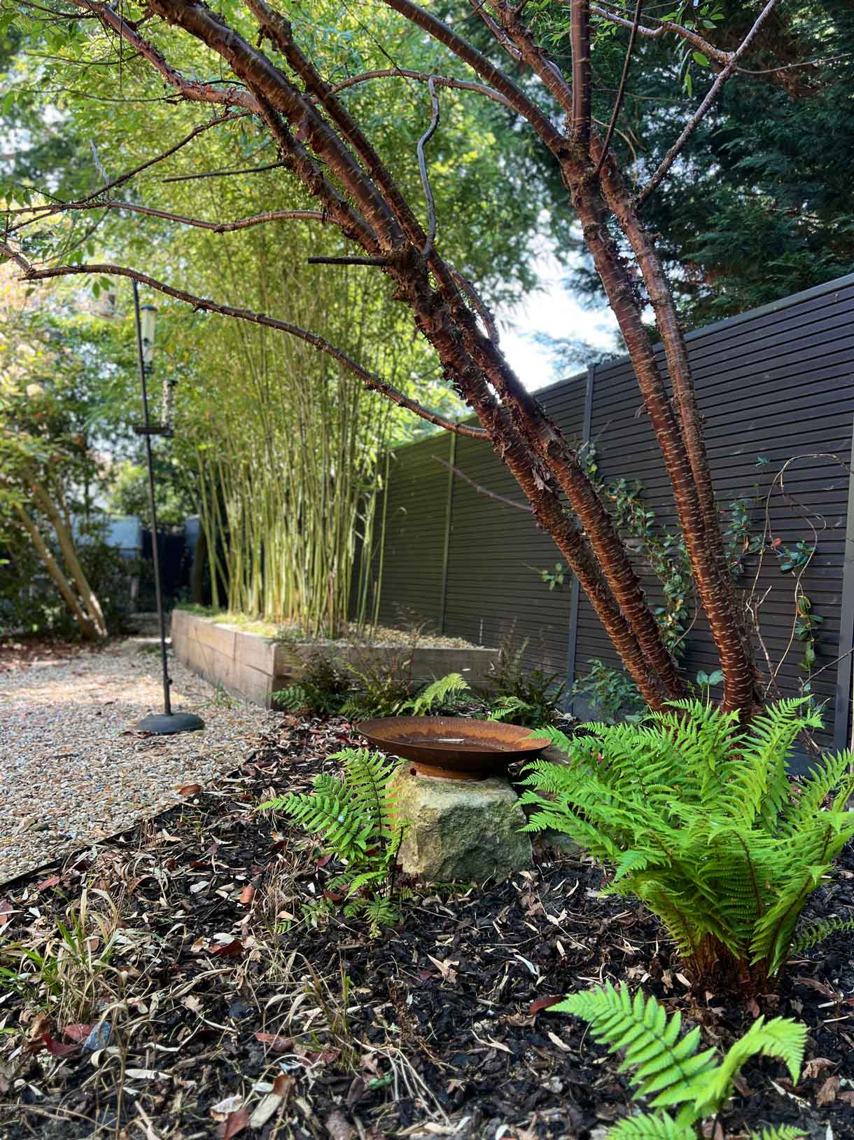 Curved brick garden path surrounded by mature shrubs and leafy planting.