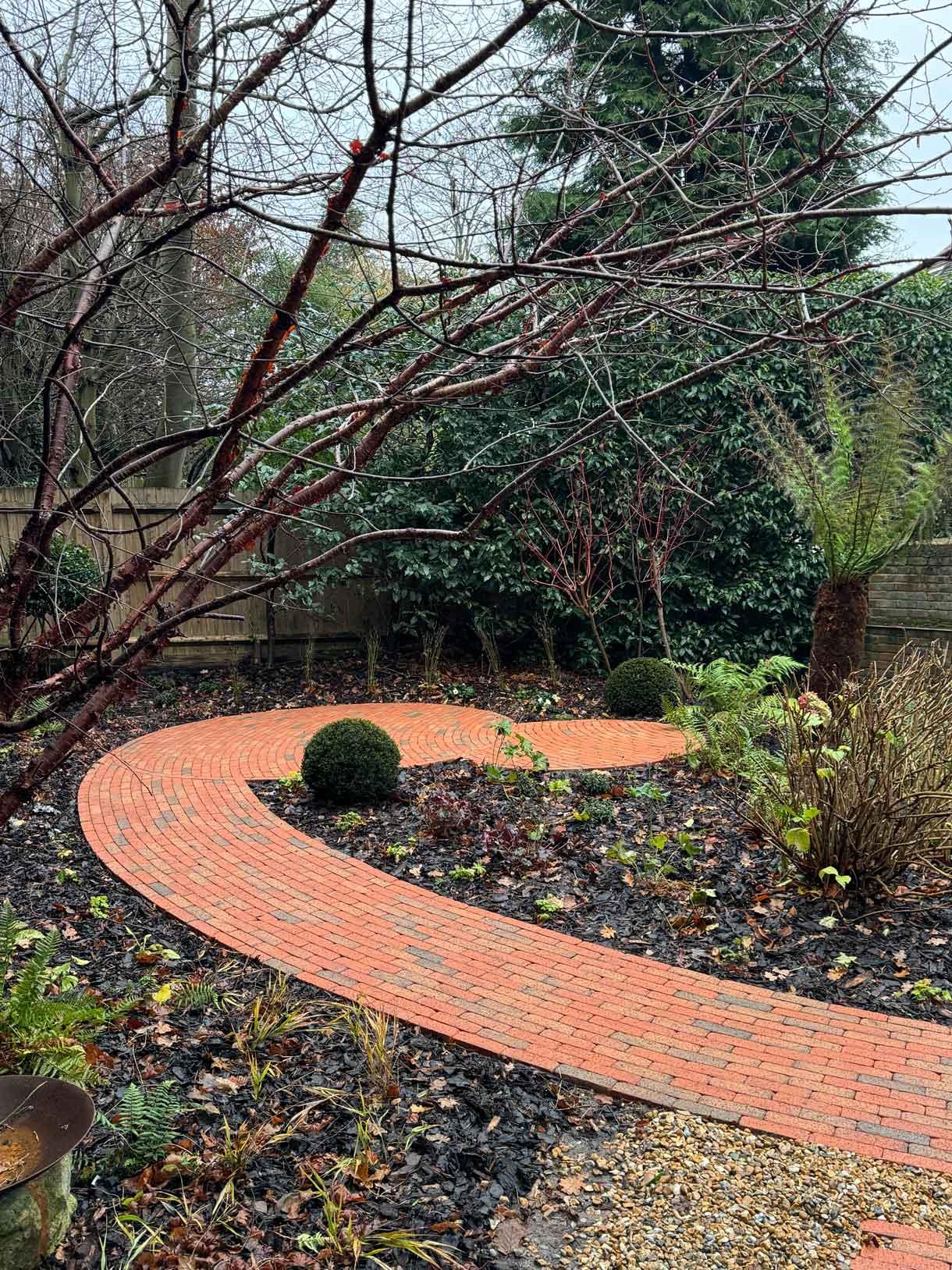 Tropical-style planting beside a paved path with palms, ferns and layered foliage.