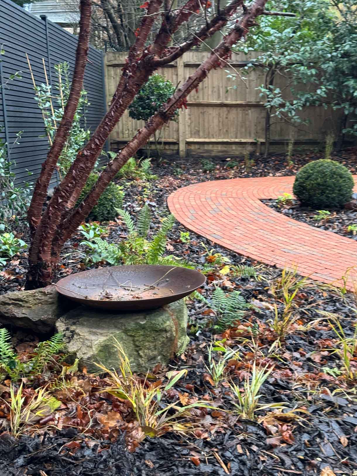 Curved brick path leading towards evergreen shrubs and a dark slatted boundary fence.