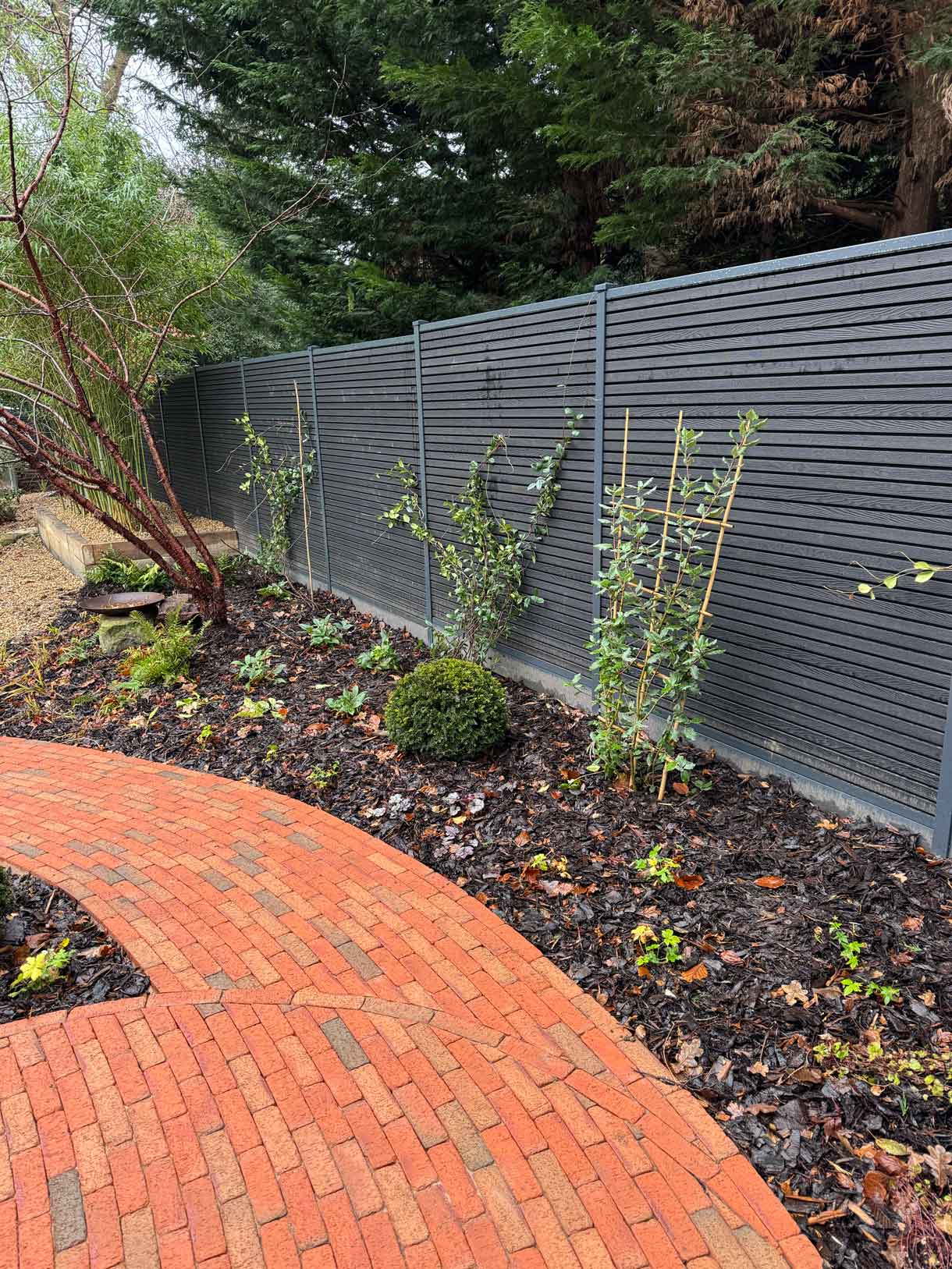 Garden bed with curved clay-paver path running beside established trees and shrubs.