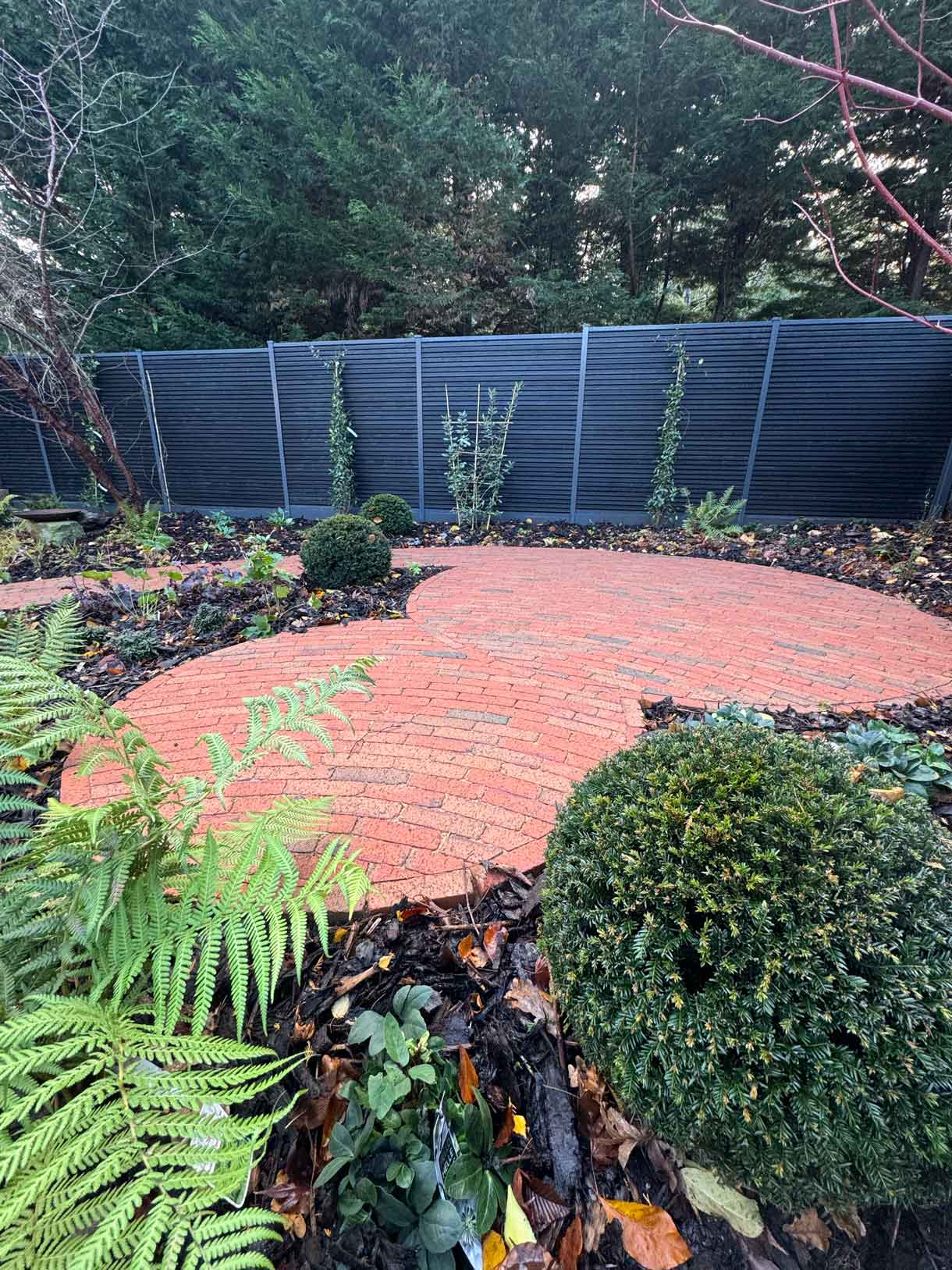 Tropical-inspired garden with palms, layered planting and a paved walkway.