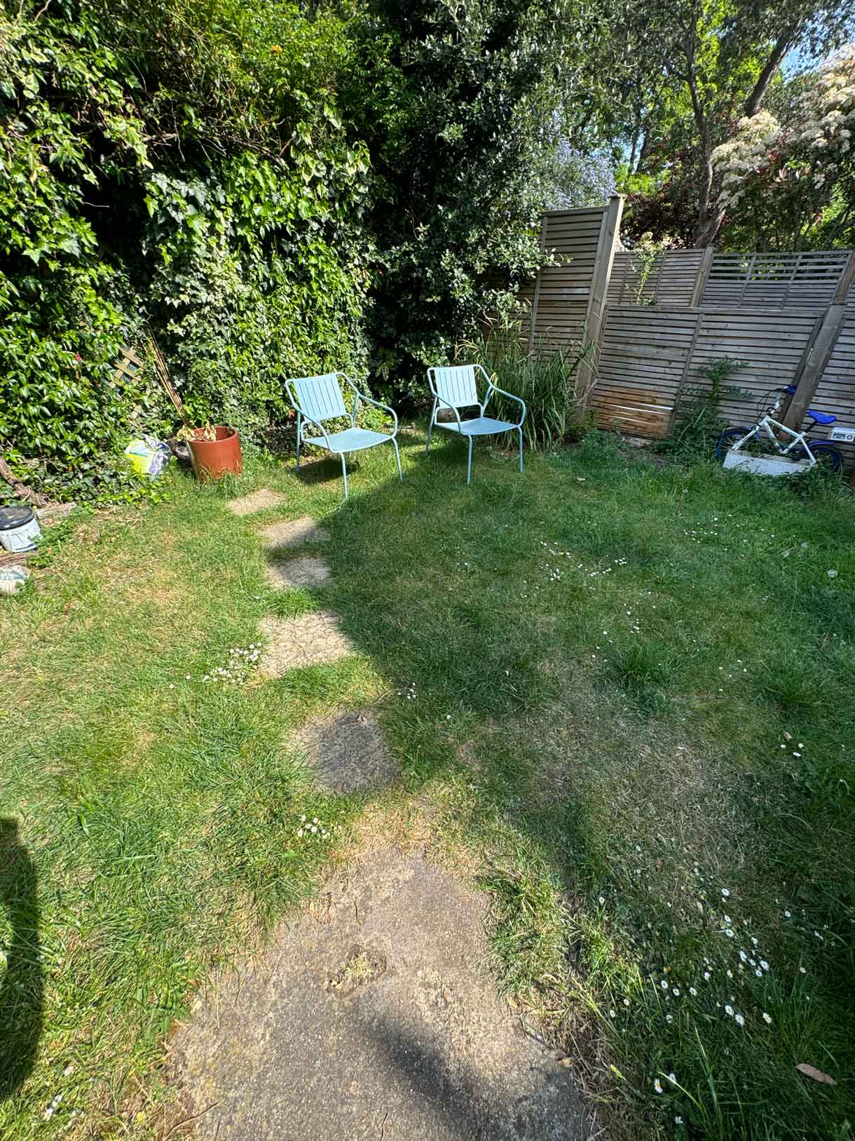 View across a small lawn backed by mature shrubs and a raised sleeper edge.