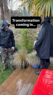 We are the garden hero’s! Don’t wait another summer… get it done now! Riverside garden transformation on the famous Eel Pie Island.
.
.
.
#gardentransformation #eelpieisland #londongarden #rivergarden
